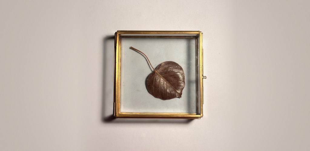 The Wisdom of the Bodhi Leaf: Lessons from Nature